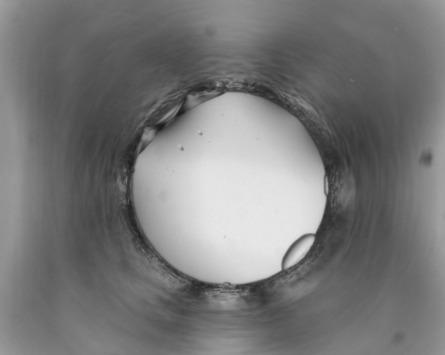 X0000089900661200707262252