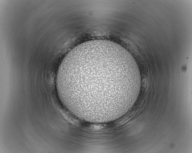 X0000089900662200707262252