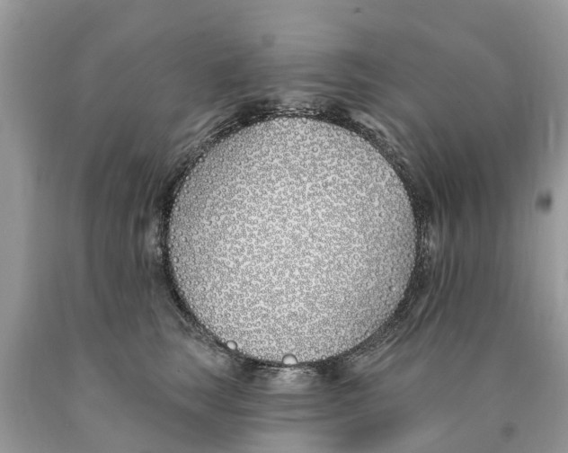 X0000089900663200707262252