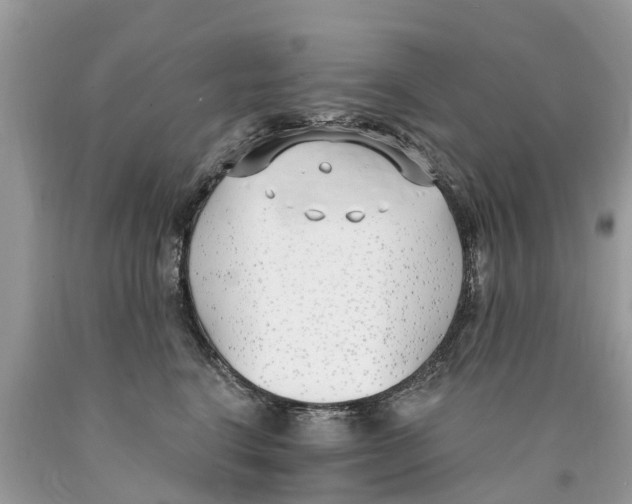 X0000089900664200707262252
