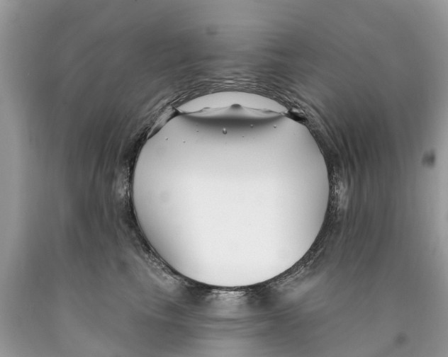X0000089900665200707262252