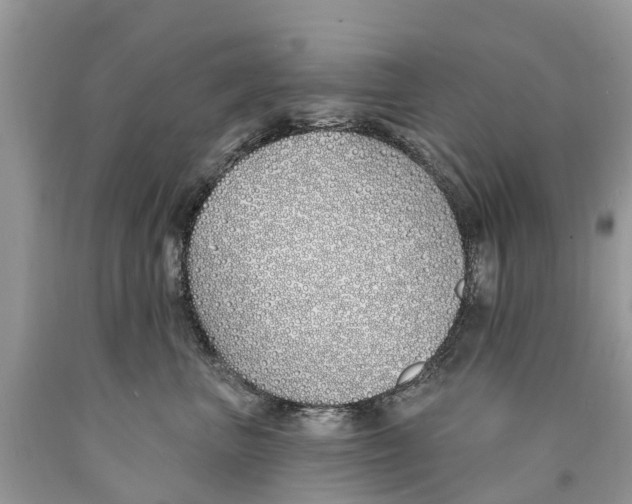 X0000089900667200707262252