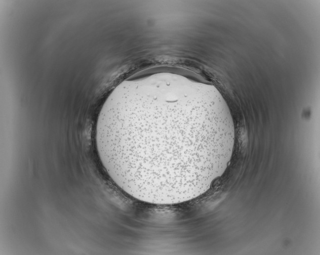 X0000089900668200707262252