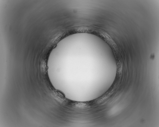 X0000089900669200707262252
