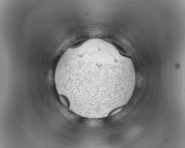 X0000089900670200707262252