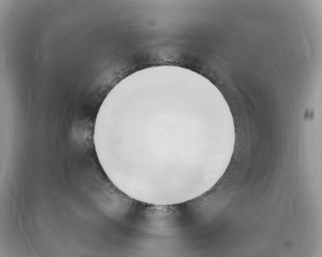 X0000089900672200707262252