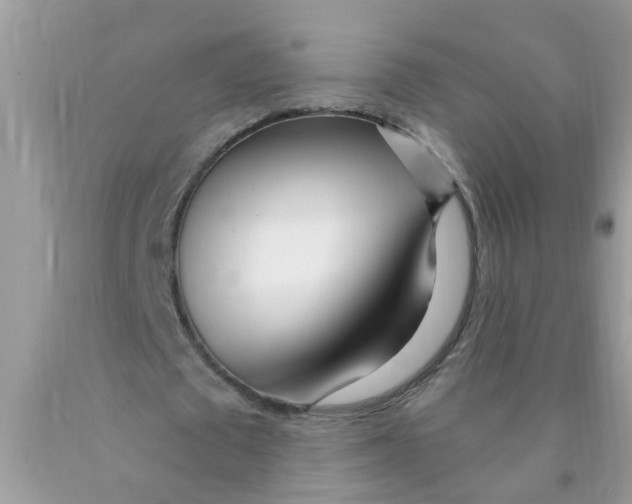 X0000089900673200707262251