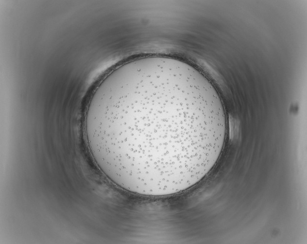 X0000089900675200707262251