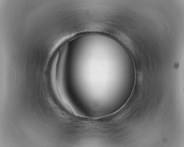 X0000089900676200707262251