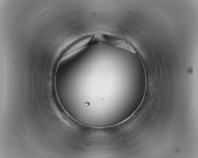 X0000089900677200707262251