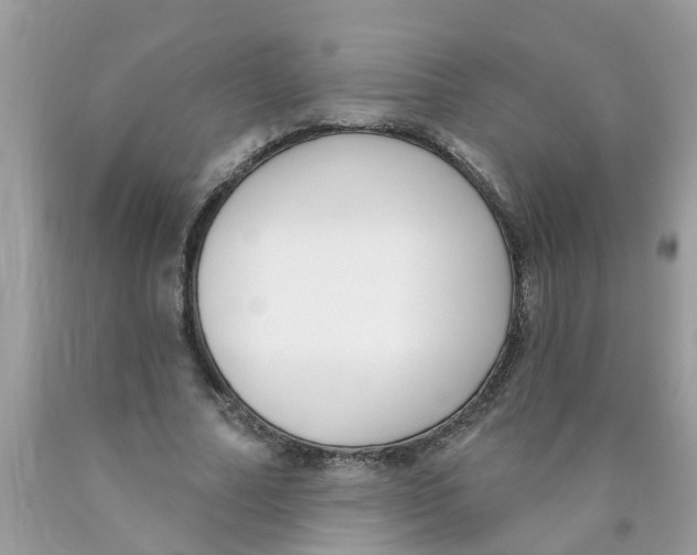 X0000089900682200707262251