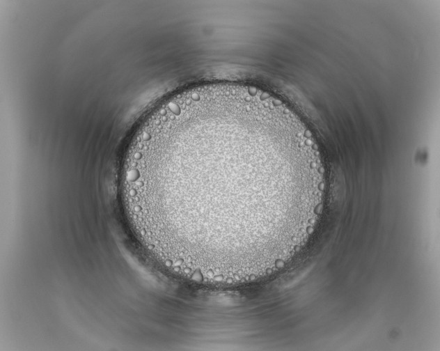 X0000089900683200707262251