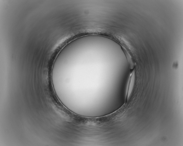 X0000089900684200707262251