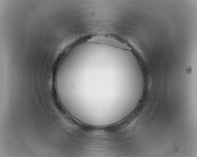 X0000089900685200707262251