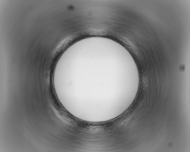 X0000089900686200707262251