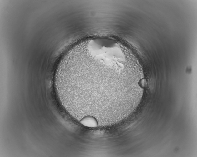 X0000089900687200707262251