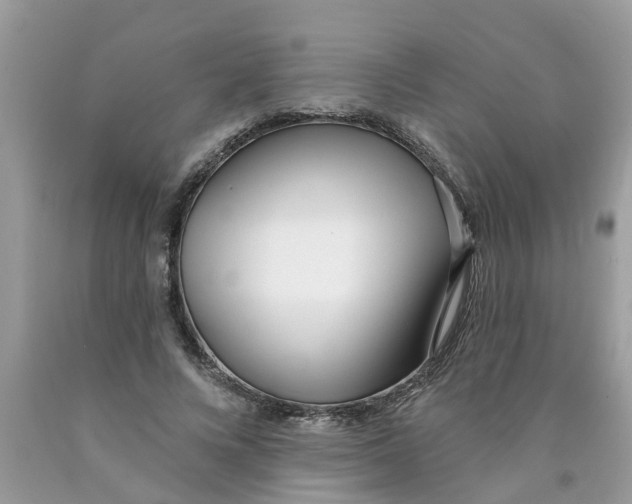X0000089900688200707262251