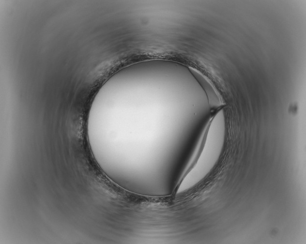 X0000089900689200707262251
