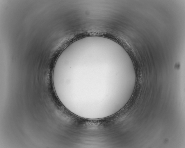 X0000089900690200707262251
