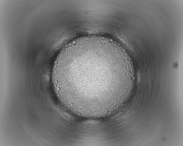 X0000089900691200707262251