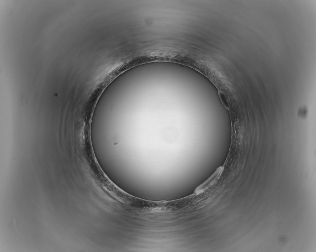 X0000089900692200707262251