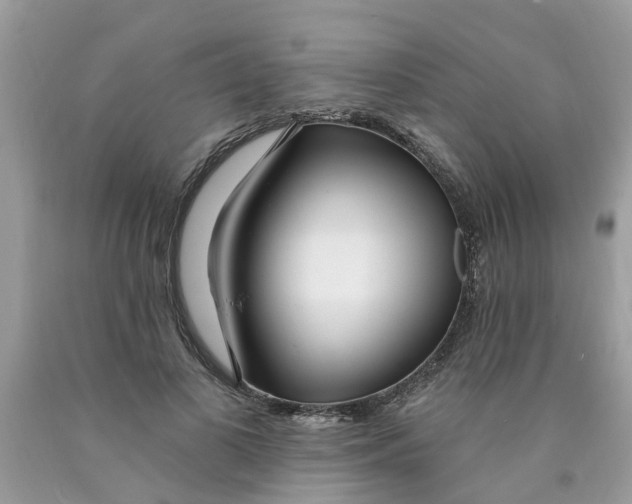 X0000089900693200707262251