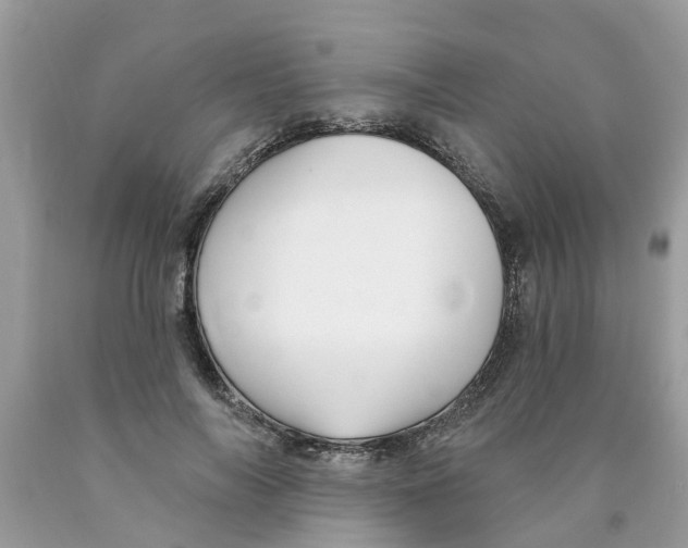 X0000089900694200707262251