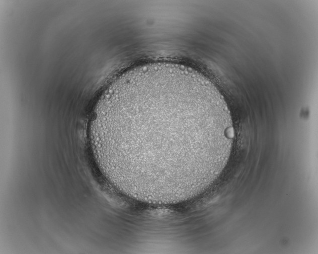 X0000089900695200707262251