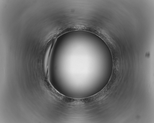 X0000089900696200707262251