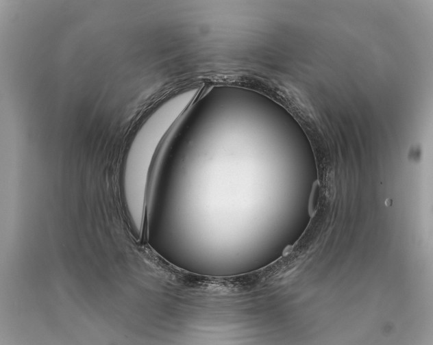 X0000089900697200707262251
