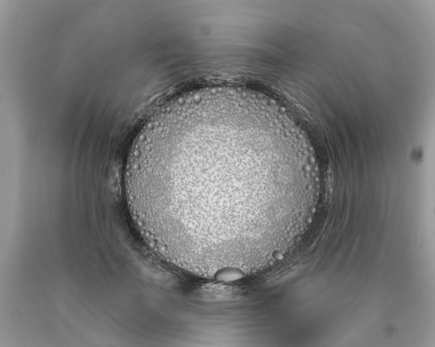 X0000089900699200707262251