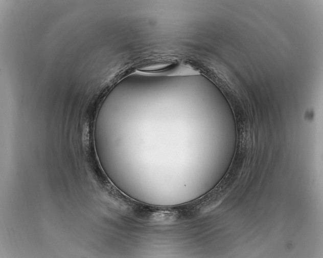 X0000089900700200707262251