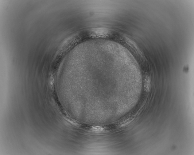 X0000089900701200707262251