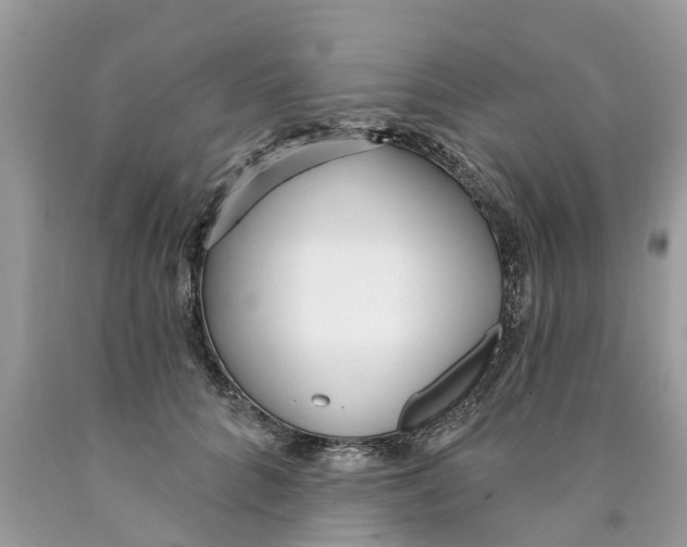 X0000089900704200707262251