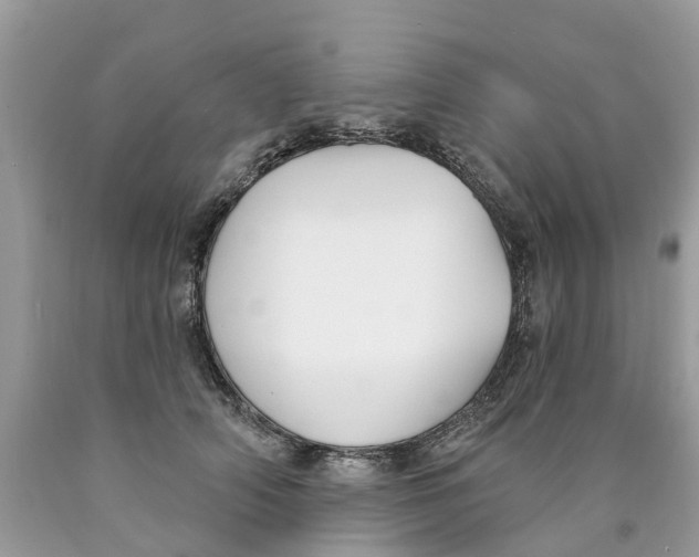 X0000089900706200707262251