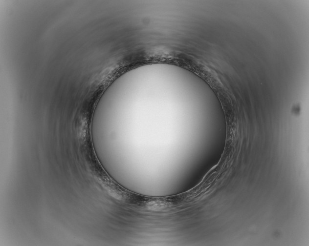 X0000089900708200707262251