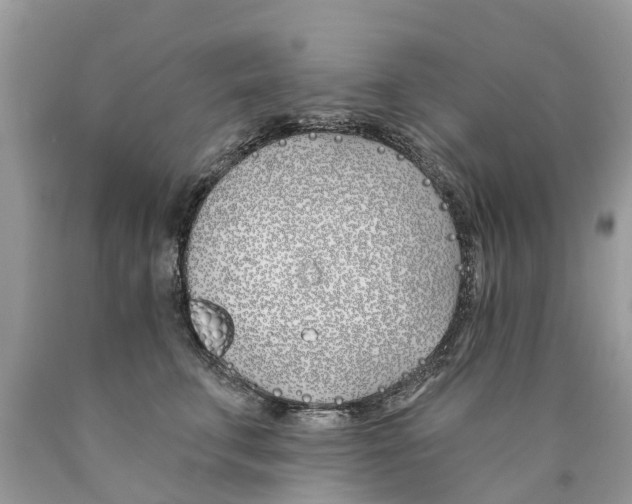 X0000089900711200707262251