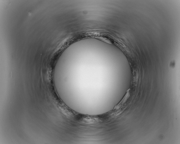 X0000089900712200707262251