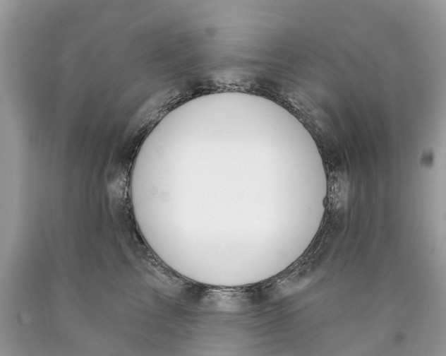 X0000089900713200707262251