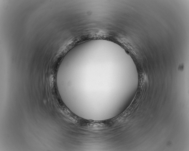 X0000089900716200707262251