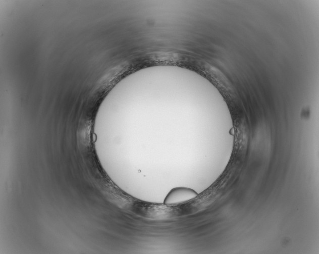 X0000089900717200707262251