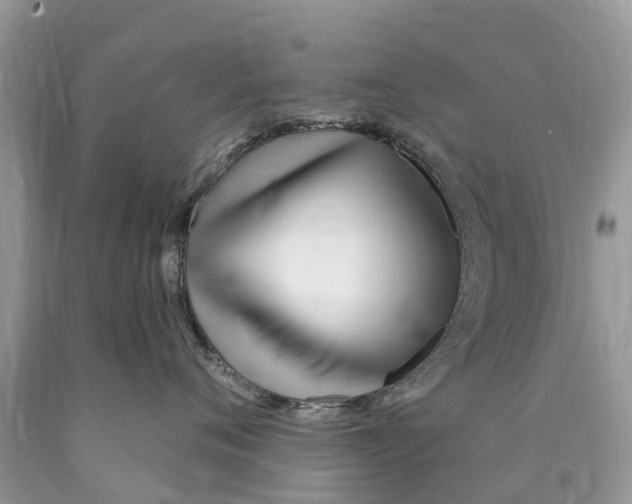 X0000089900720200707262251