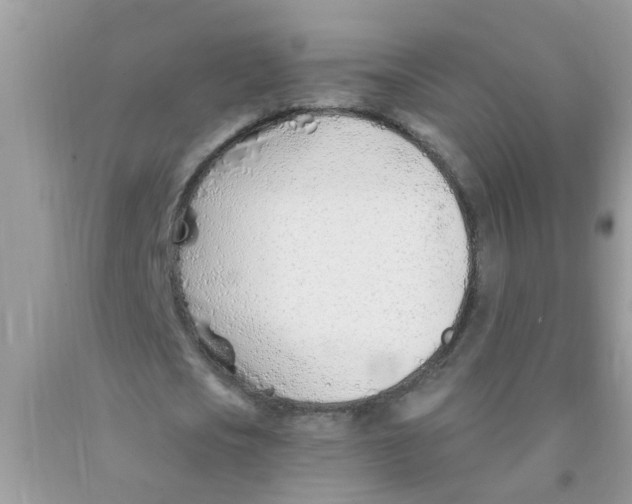 X0000089900721200707262250