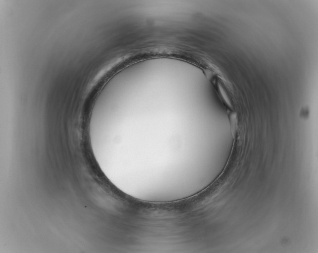 X0000089900722200707262250