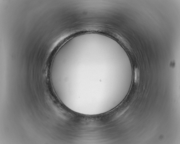 X0000089900723200707262250