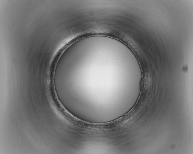 X0000089900726200707262250