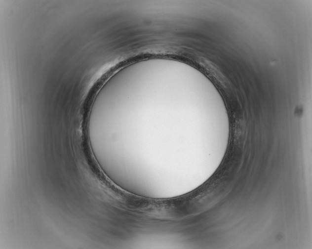 X0000089900727200707262250