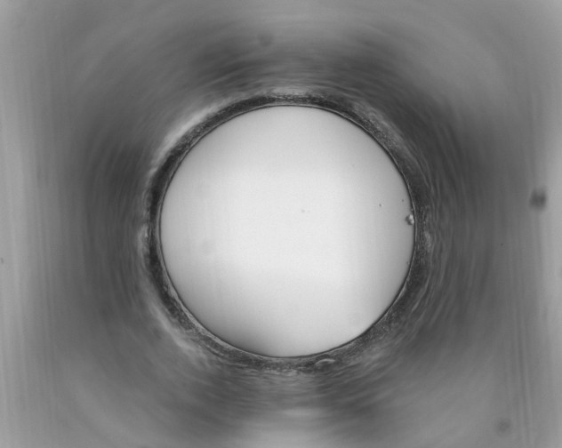 X0000089900728200707262250