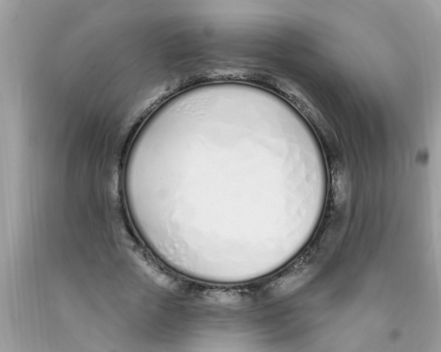 X0000089900729200707262250