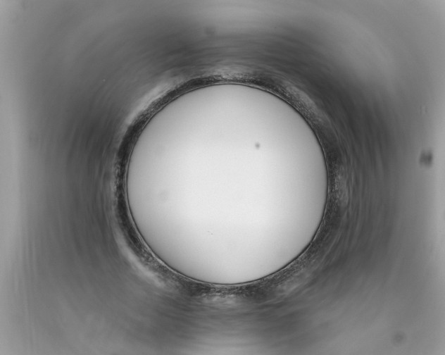 X0000089900730200707262250